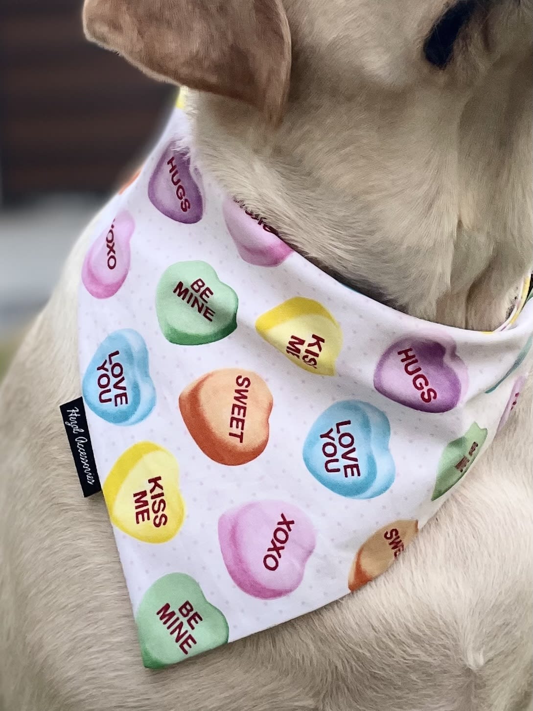 Candy Hearts Crush tie on Bandana image 4