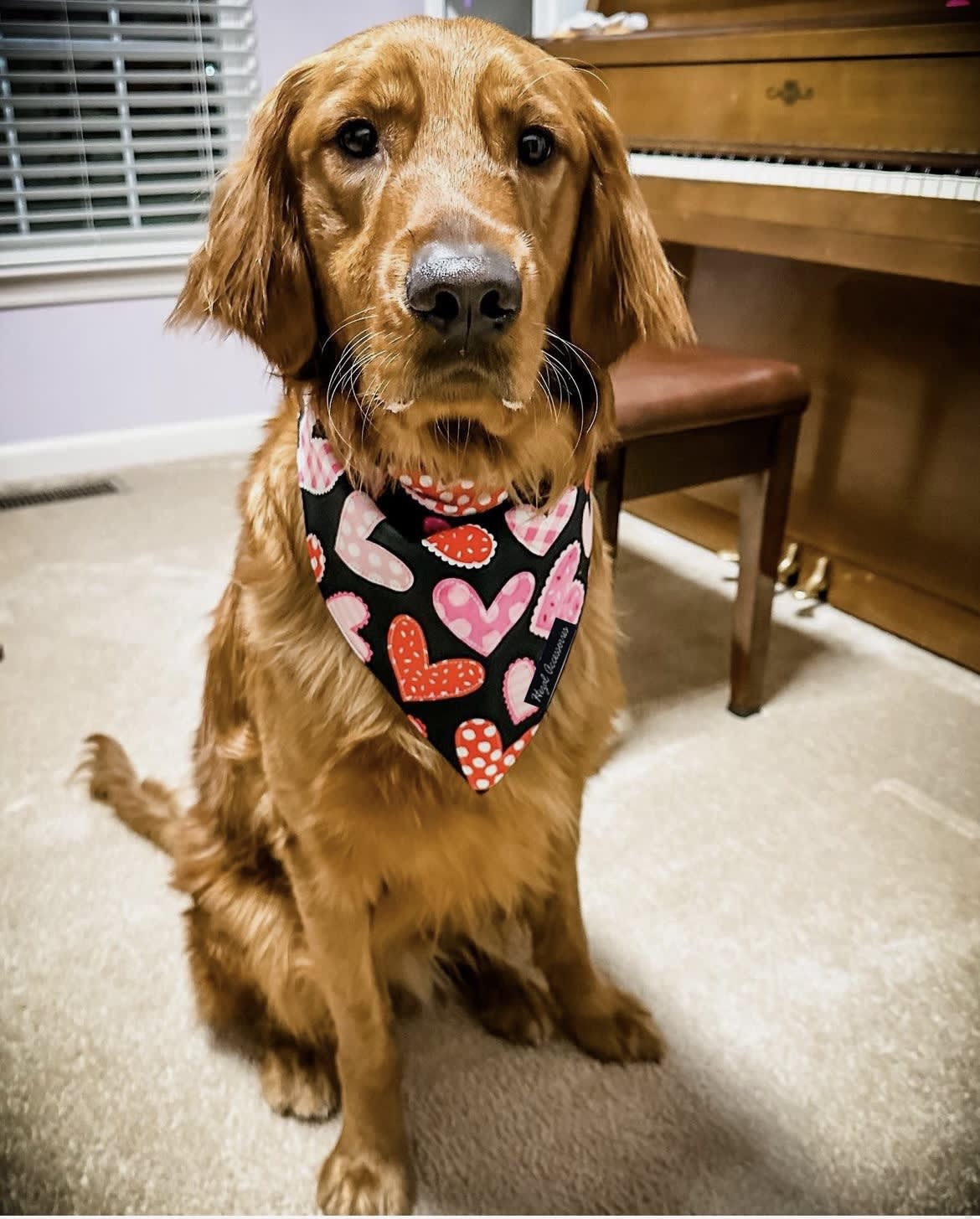 Midnight Hearts tie on Bandana image 5