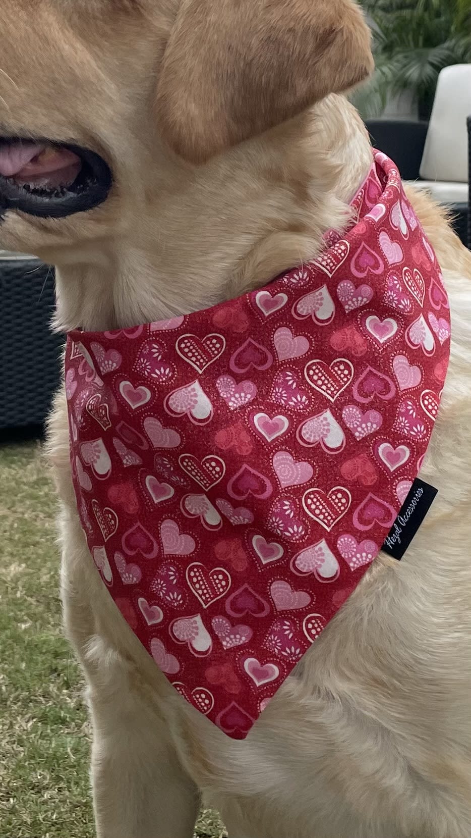 Crimson Cuddles Bandana image 4