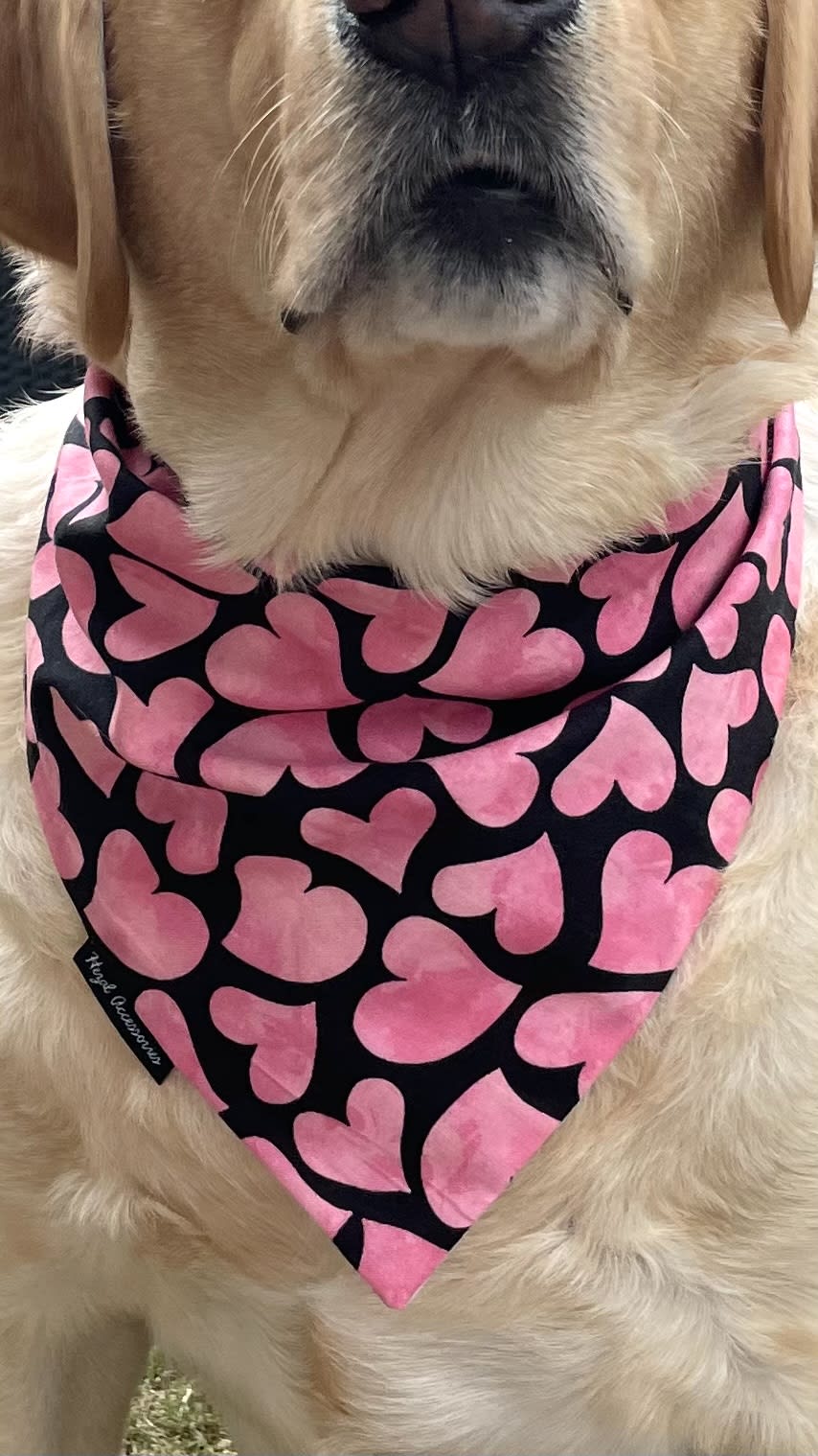 Pink Crush Hearts tie on Bandana image 5
