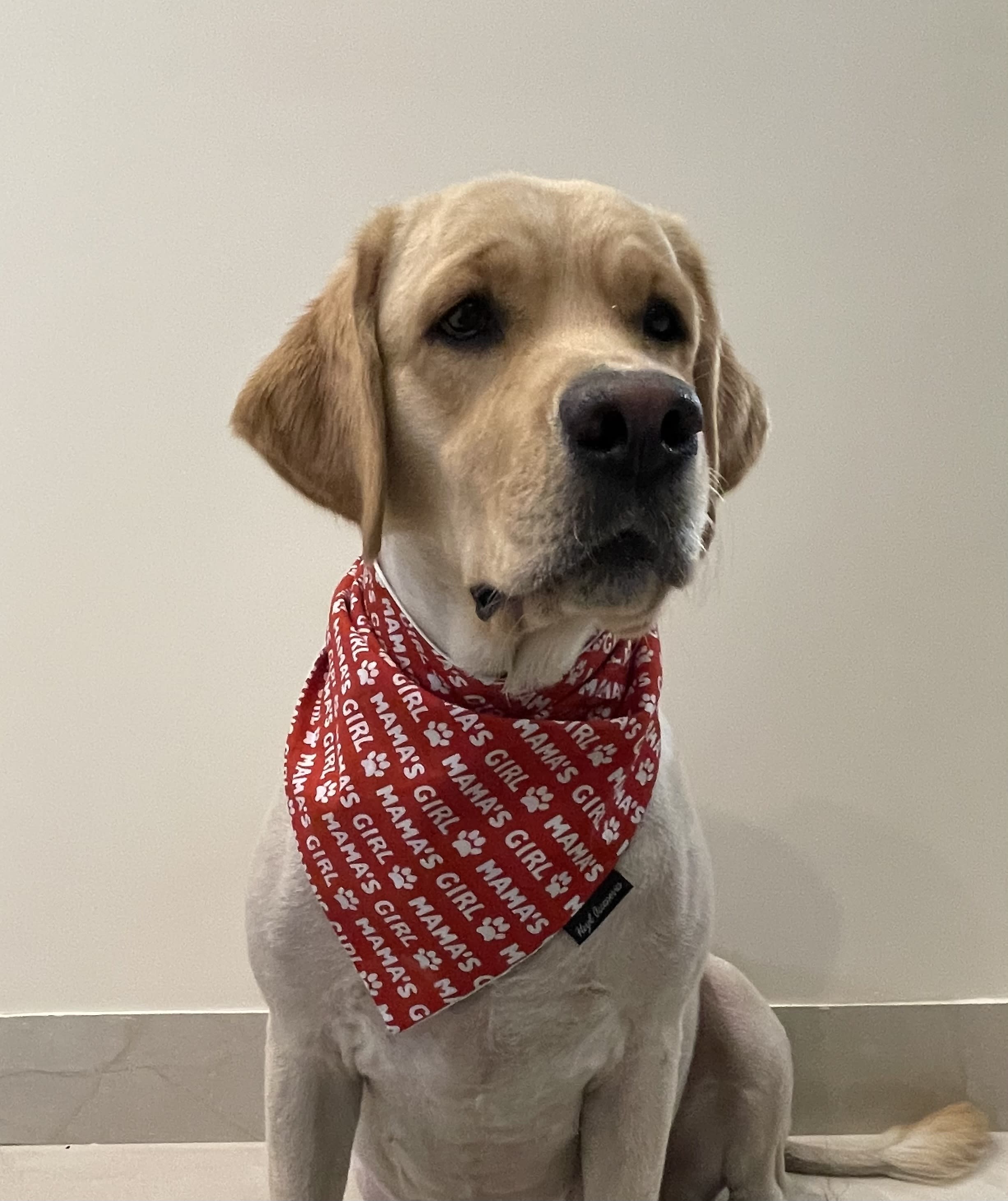 Mama’s girl tie on bandana
