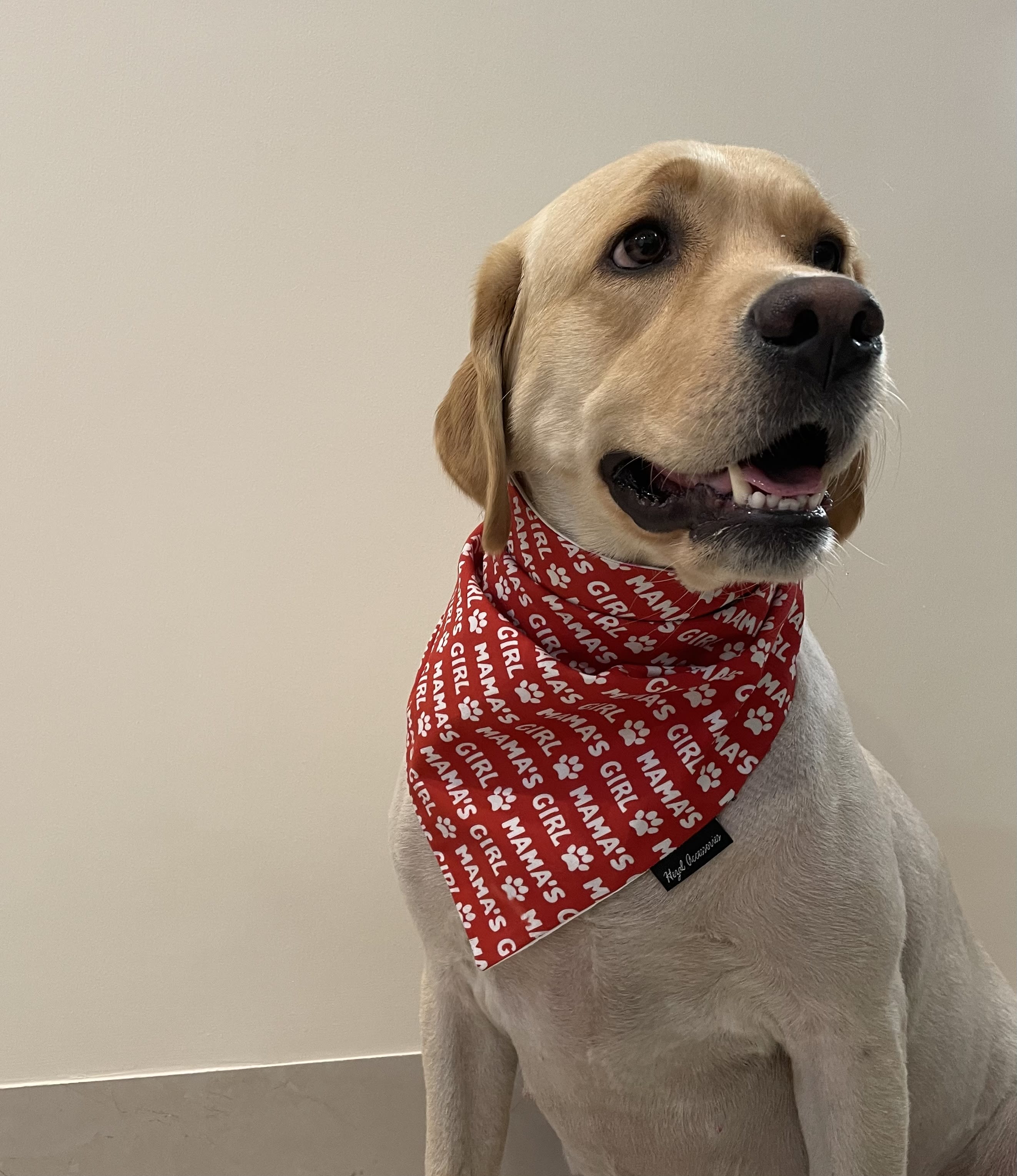 Mama’s girl tie on bandana  image 2