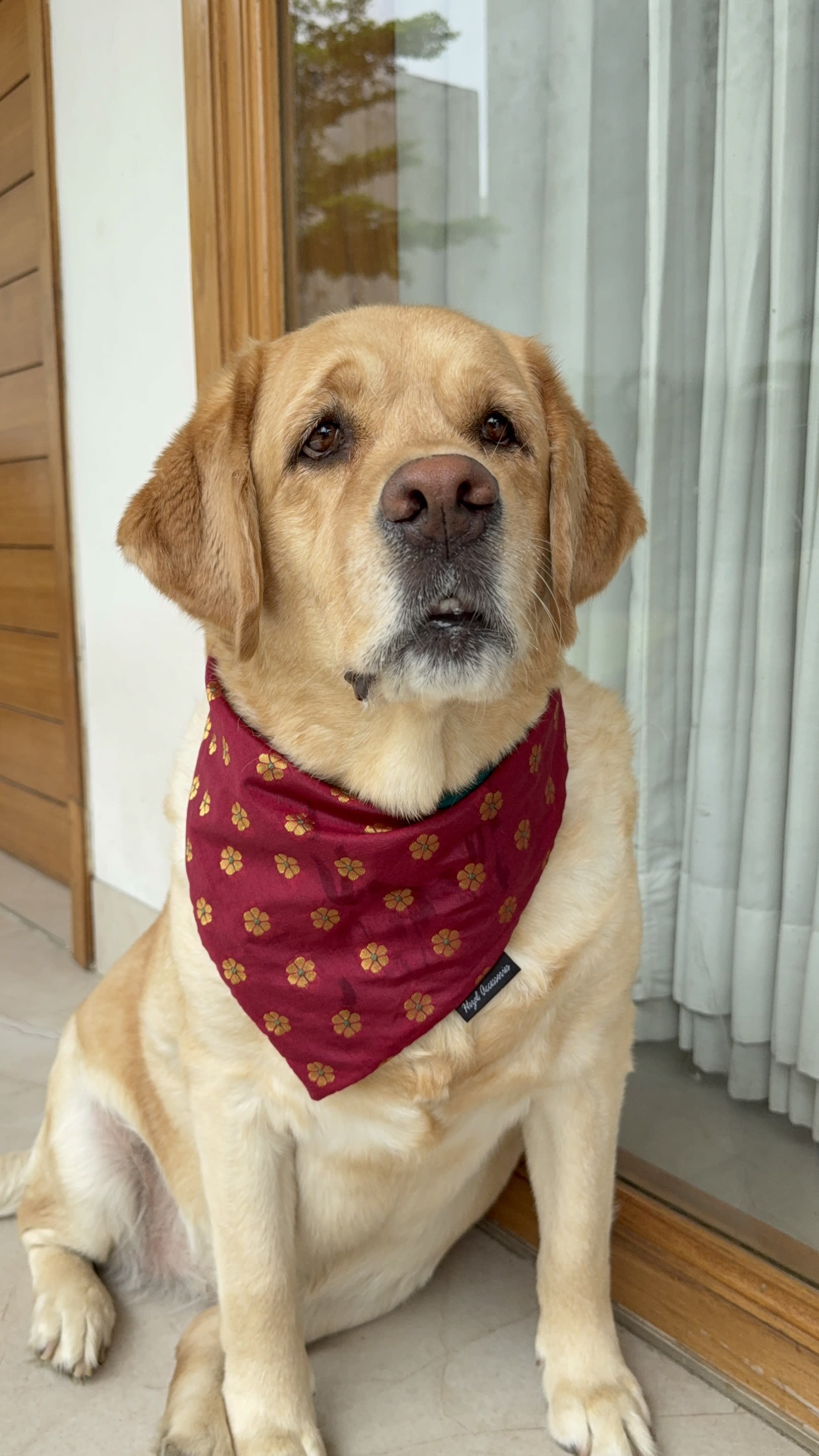   * Royal Maroon Blossom Tie on bandana  image 3