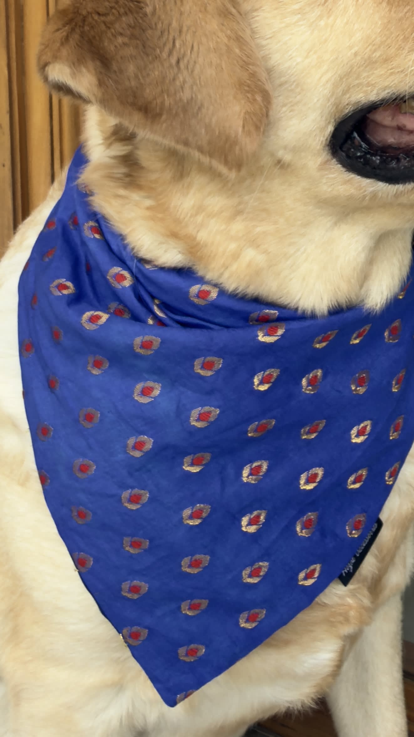 Maharaja Blue tie on Bandana image 2