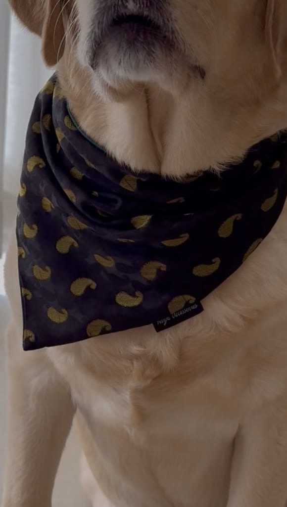Midnight Paisley festive tie on Bandana image 3