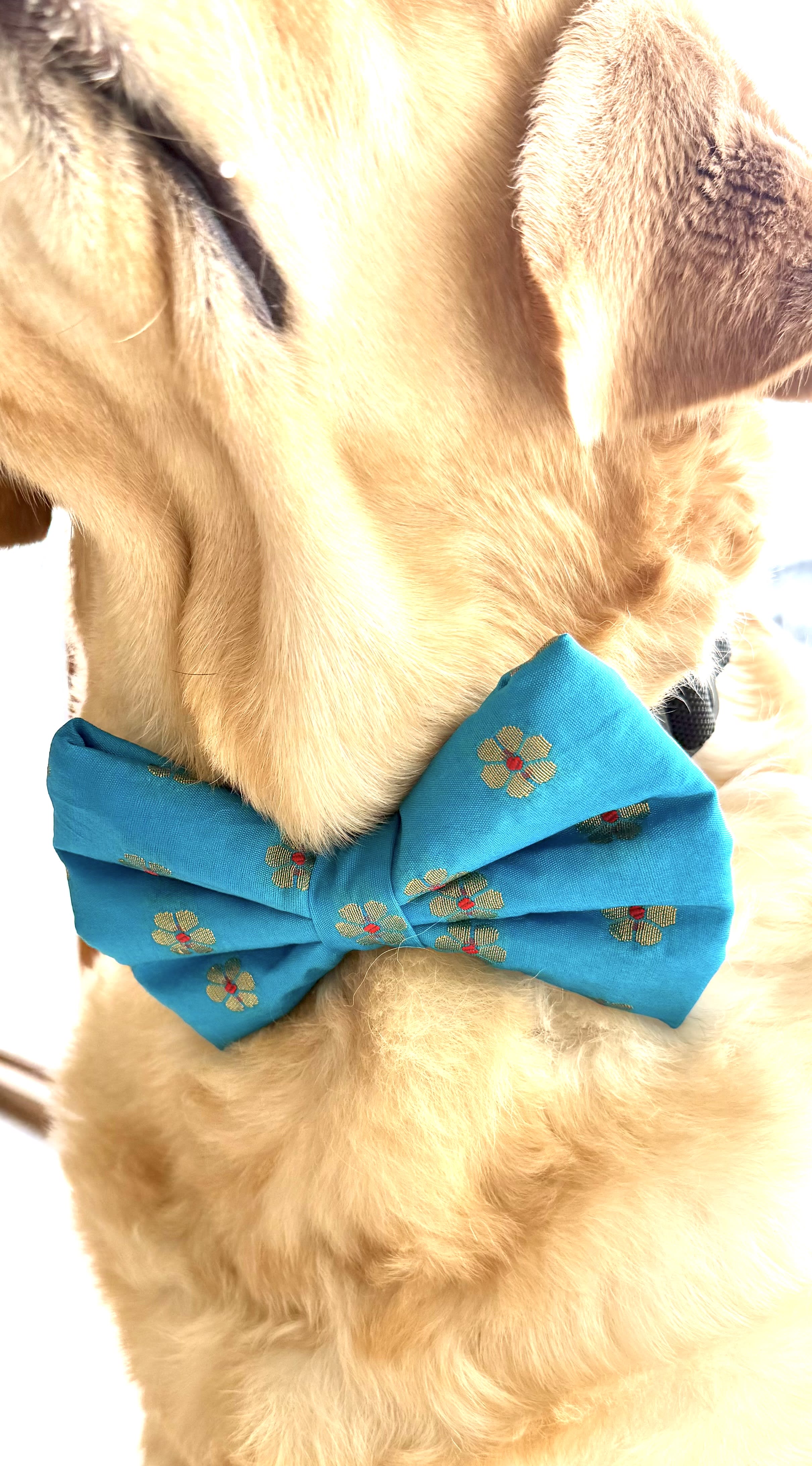 Utsav Bloom Bow tie  image 3