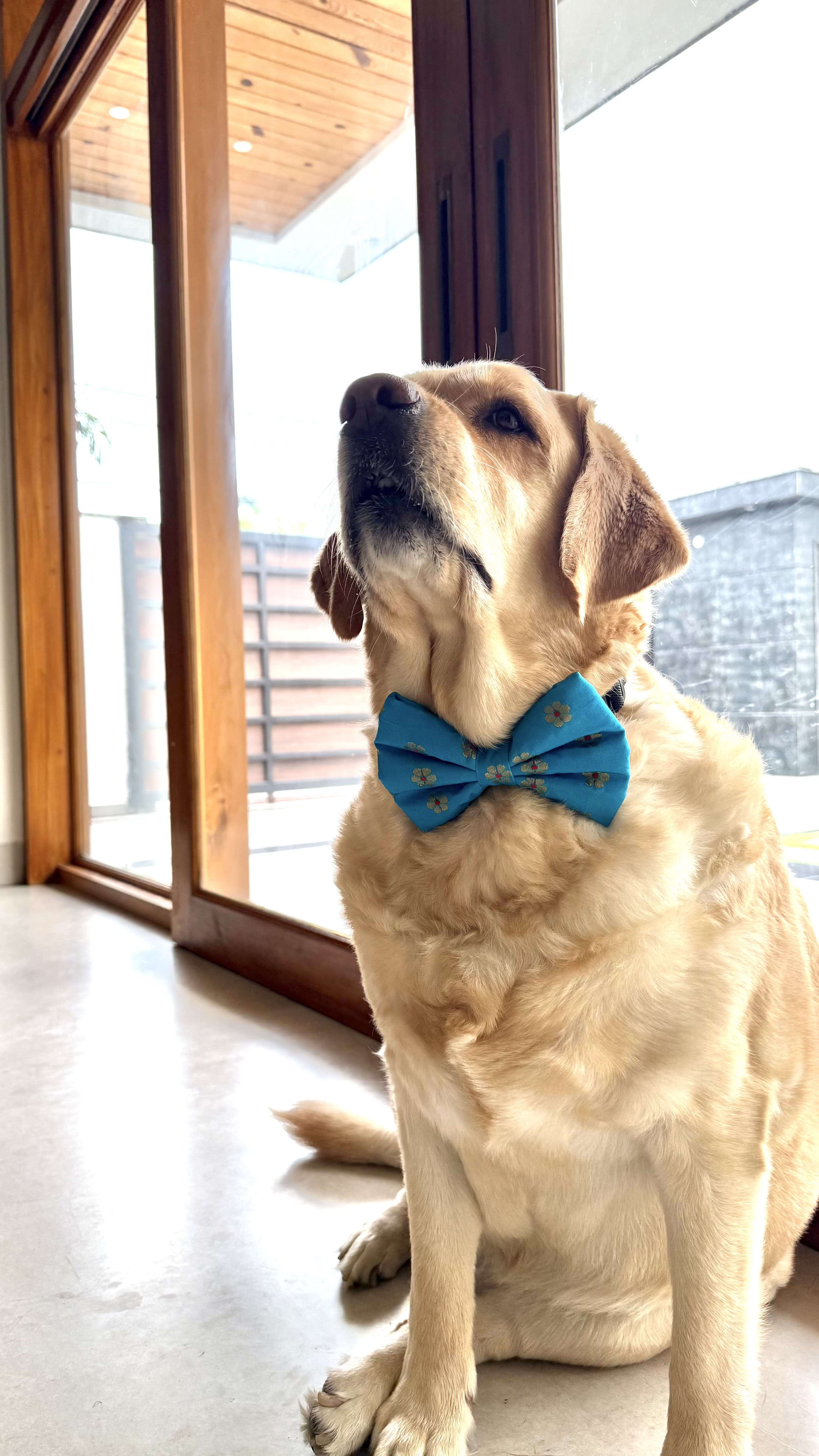 Utsav Bloom Bow tie  image 2