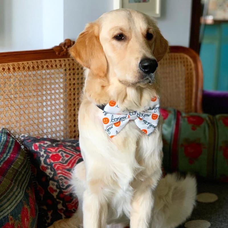 @uno_golden_boy