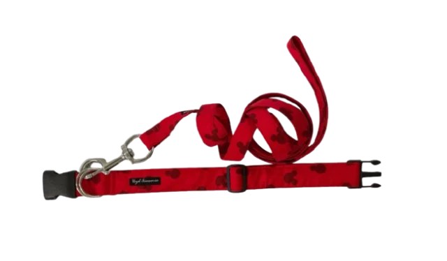 Collar-Leash Set