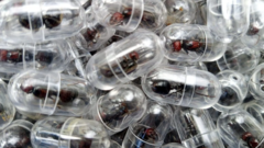 Chinese national given one year in prison for smuggling ants out of Kenya