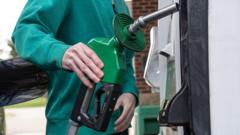 Oil prices ease as US pauses Project Freedom to seek deal with Iran