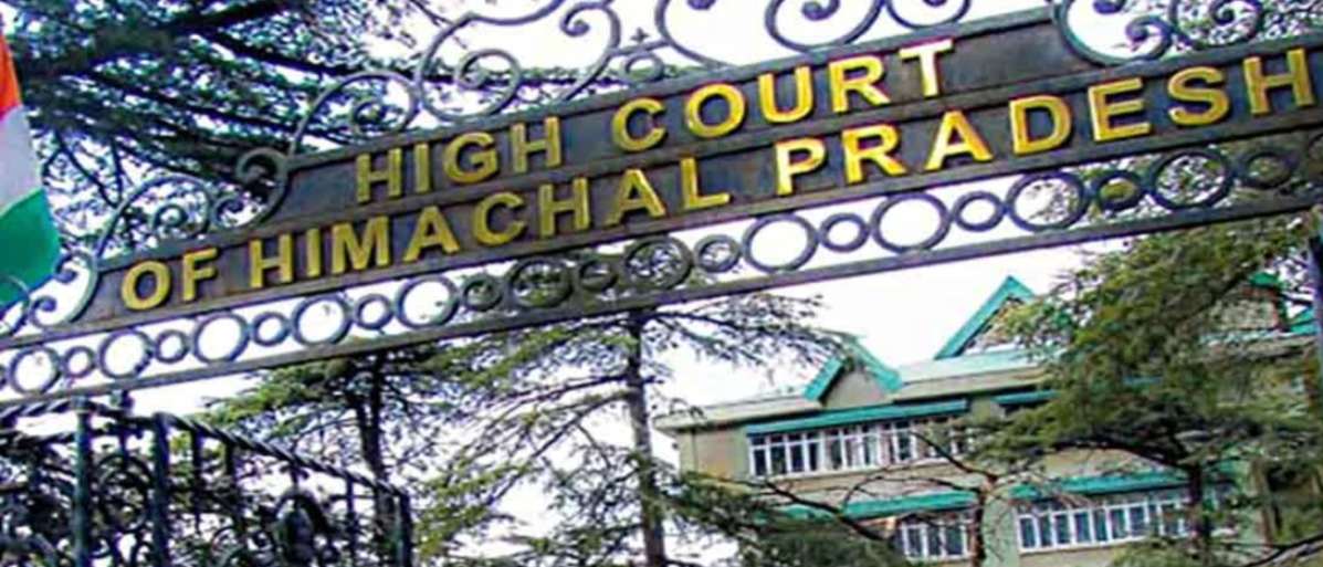 हिमाचल हाईकोर्ट का बड़ा फैसला, आशा वर्कर लड़ सकेंगी पंचायत चुनाव