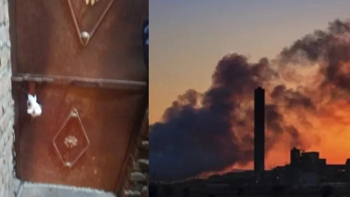 Delhi Pollution Drive: Six Illegal Factories Sealed by Officials