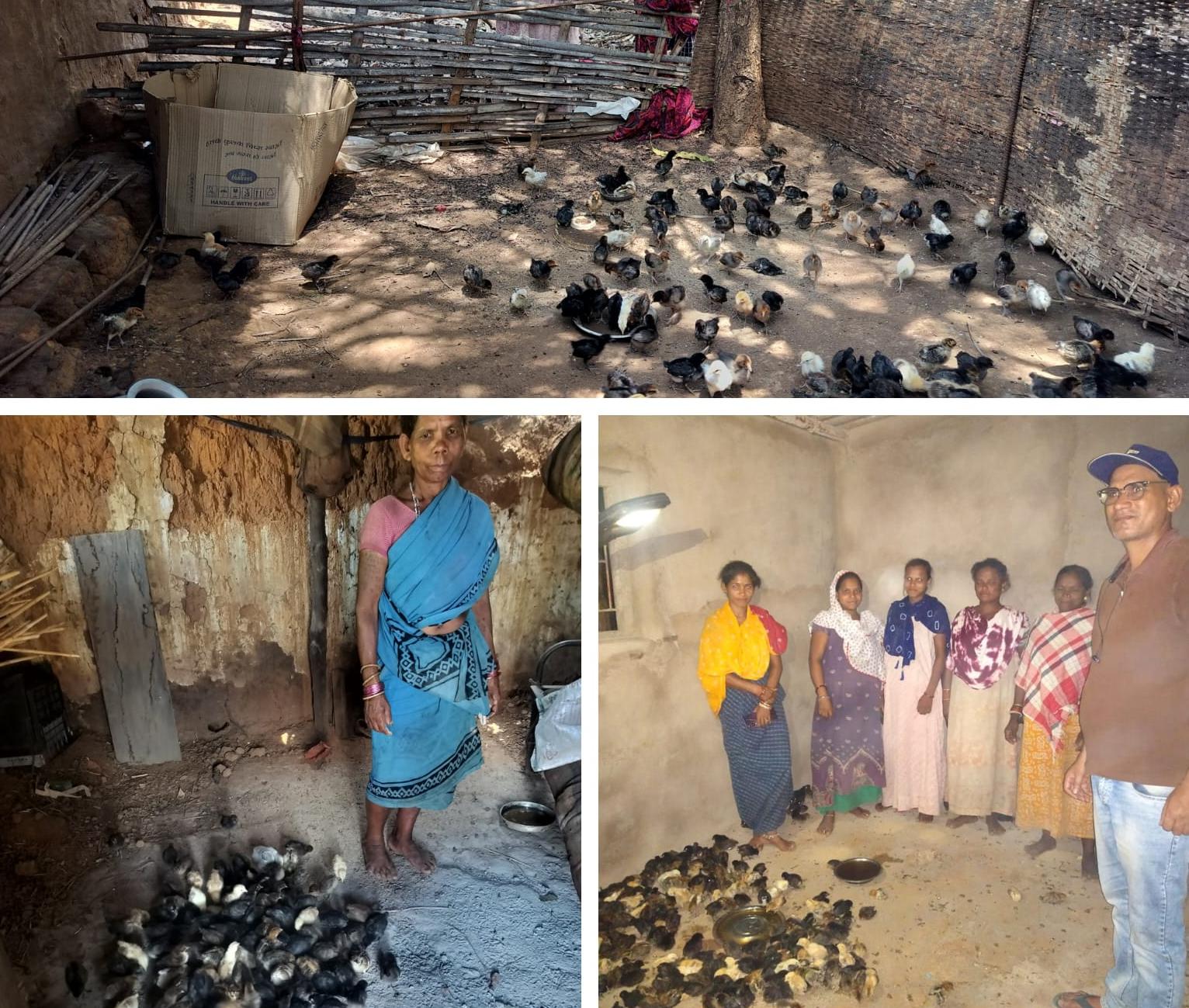 वनधन माइक्रो उद्यमों को बढ़ावा, शिल्पकारों को मिल रहा नया अवसर