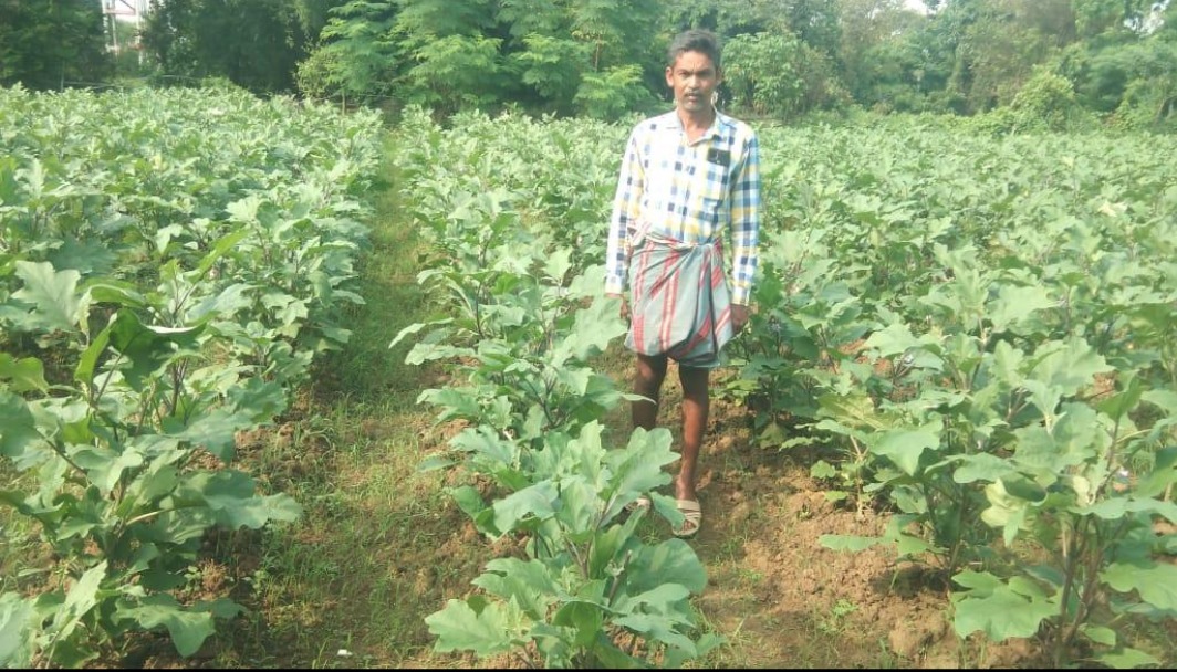 आधुनिक खेती से आत्मनिर्भरता की ओर बढ़ते किसान