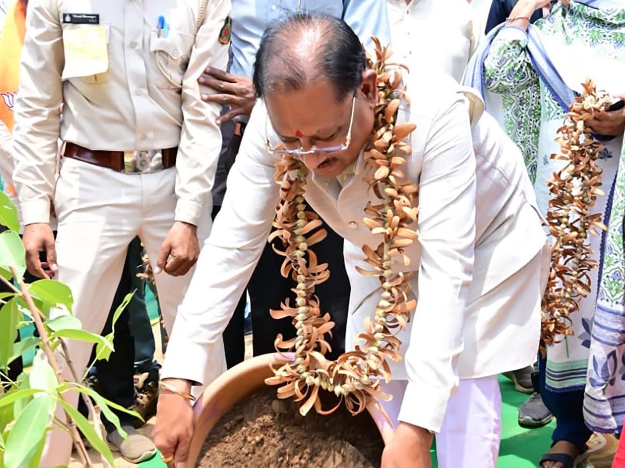 बड़ेकनेरा में वन आधारित अर्थव्यवस्था बनी ग्रामीण विकास की मिसाल