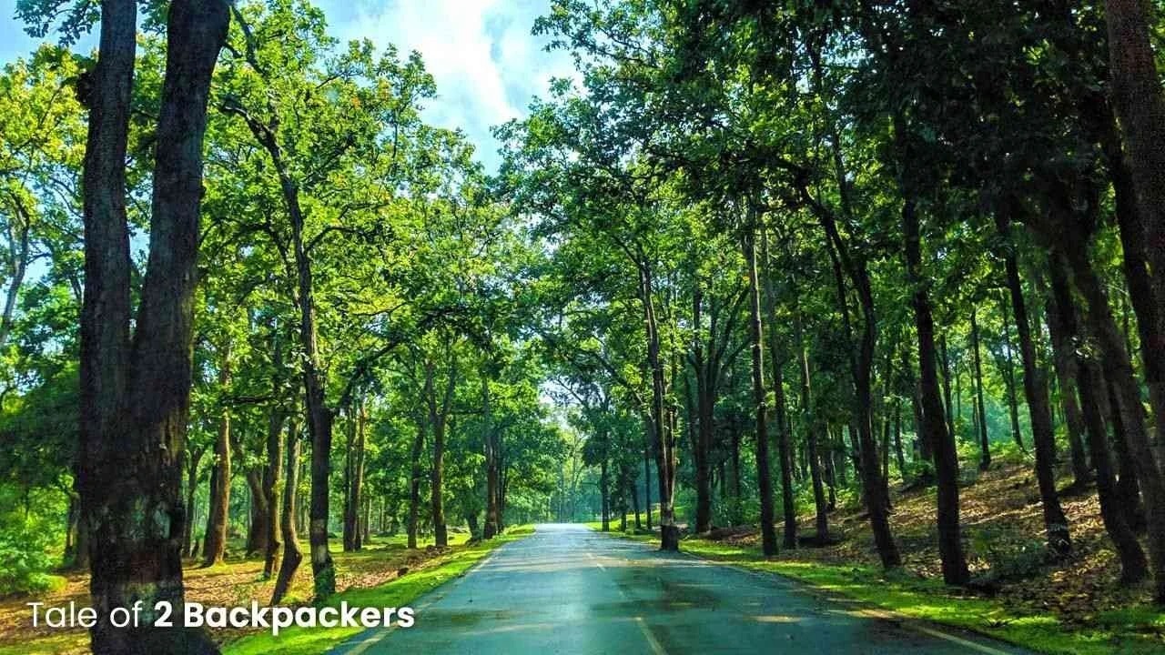 प्रकृति संरक्षण में अग्रणी छत्तीसगढ़: विकास और पर्यावरण का संतुलन