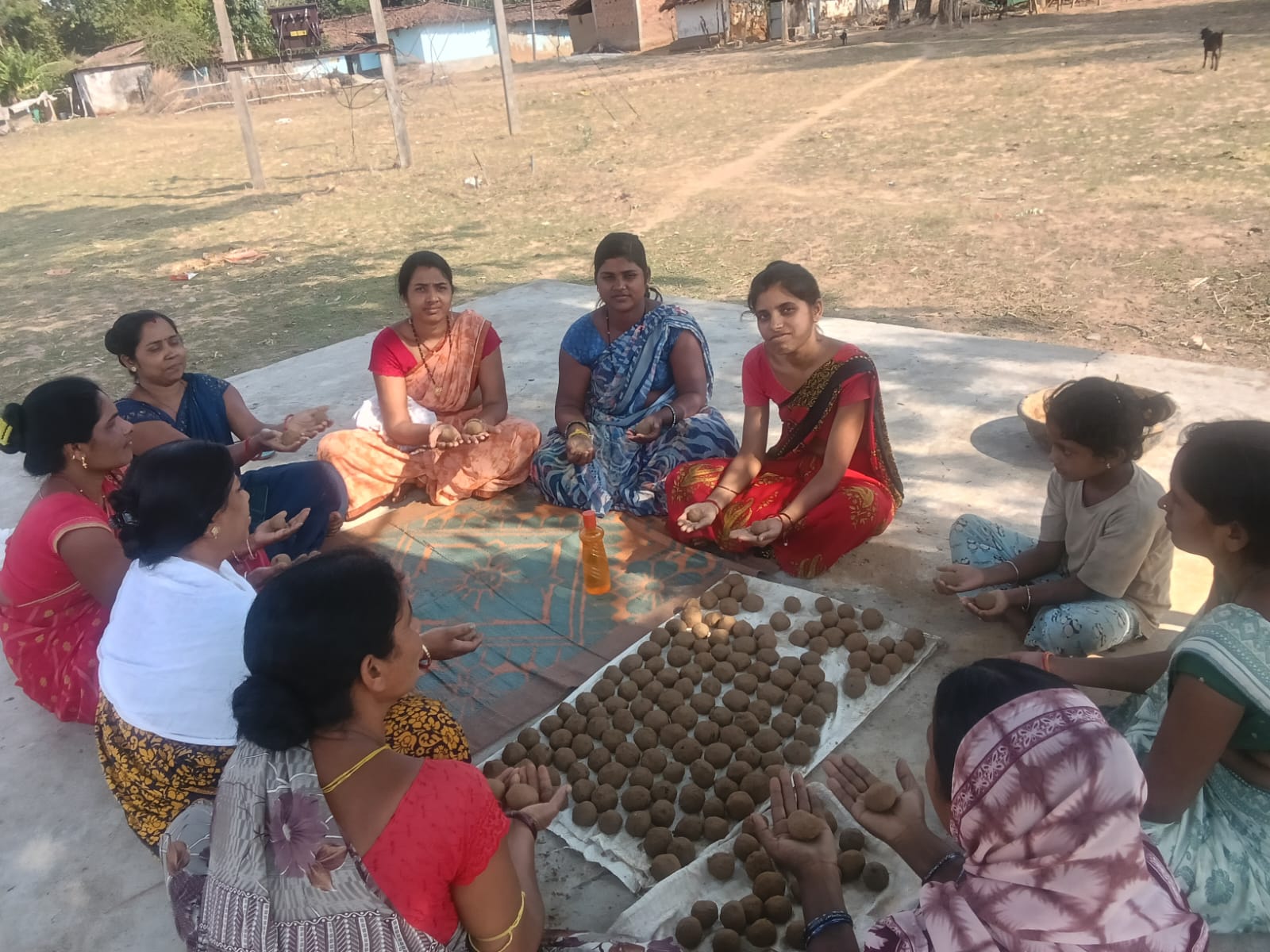 ग्रामीणों और महिलाओं की भागीदारी से बढ़ रहा हरित आवरण