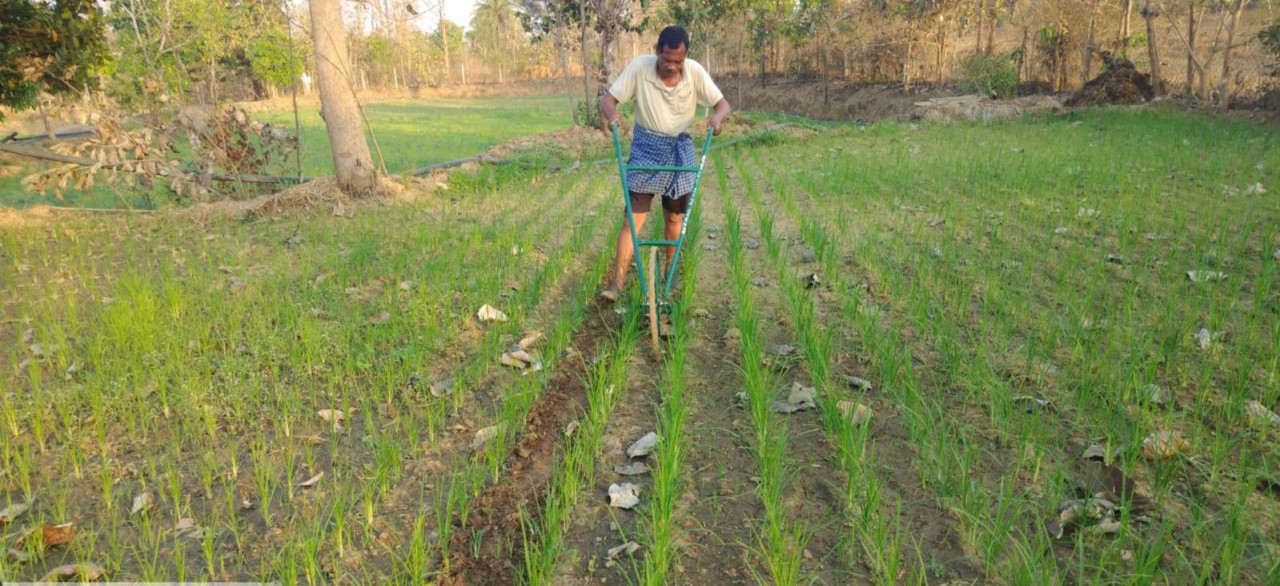 प्राकृतिक खेती से लागत घटेगी, मुनाफा बढ़ेगा : ‘खेत बचाओ अभियान’