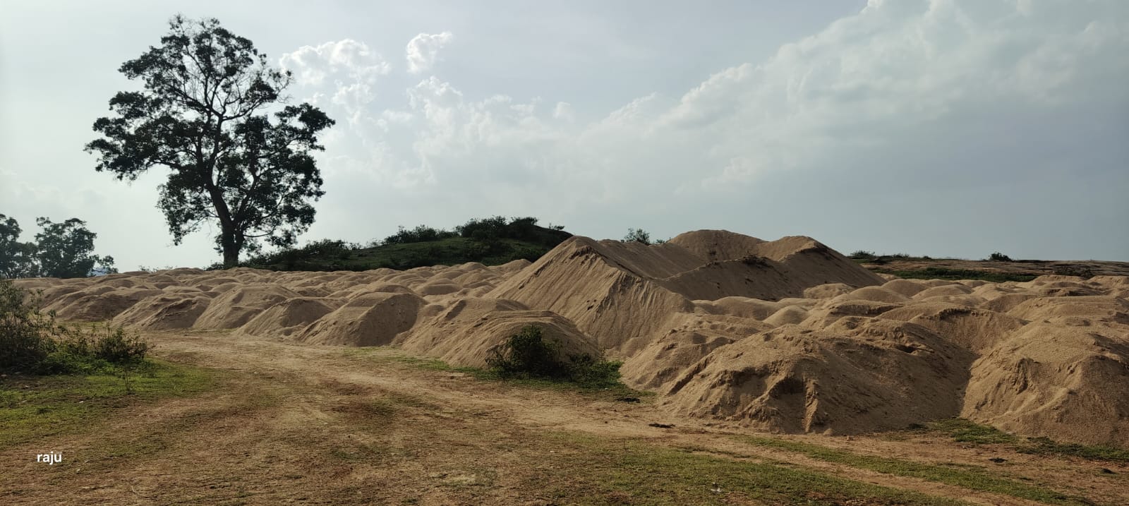 खनिज विभाग की कार्रवाई से मचा हड़कंप, लाखों की रेत जब्त