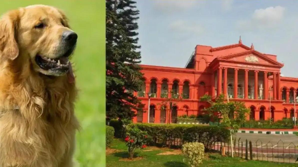 ‘मूक जानवरों को भी सुरक्षा का अधिकार’, कर्नाटक HC ने सुनाया अहम आदेश