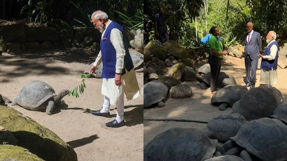 सेशेल्स में पीएम मोदी ने विशाल कछुए ‘जोनाथन’ के साथ बिताया यादगार पल