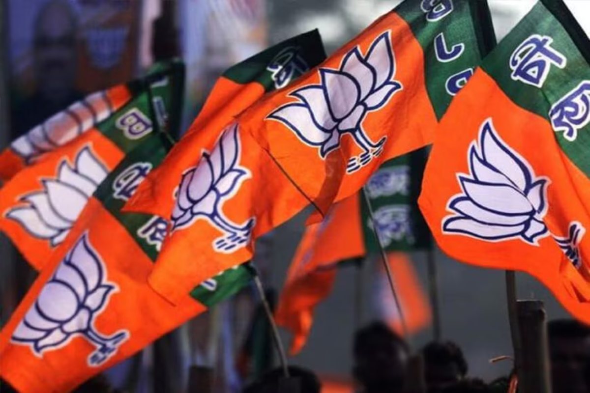 दिल्ली बीजेपी ने 11 जिलों के लिए नई टीम बनाई, 33 फीसदी महिलाओं को मिली जिम्मेदारी