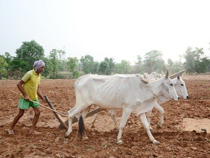 किसानों की मांग के अनुरूप खाद-बीज उपलब्ध कराने के निर्देश