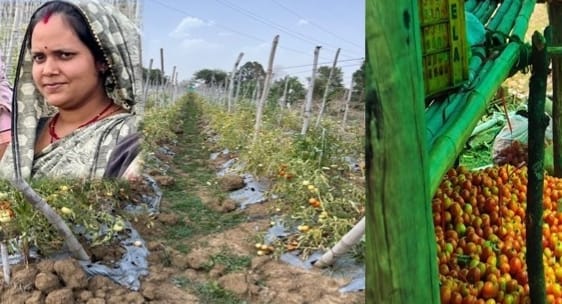 बिहान मिशन ने हजारों परिवारों की आय बढ़ाकर लिखी सफलता की कहानी