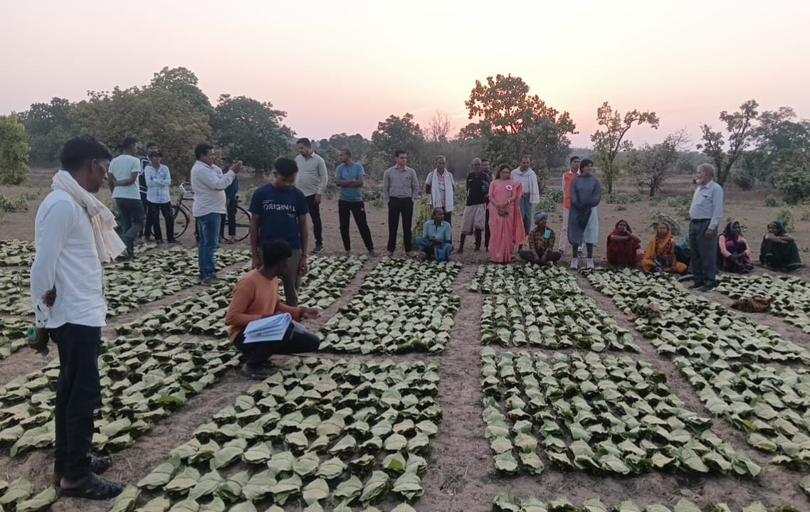 वनवासी हित में साय सरकार का बड़ा कदम, बोनस राशि का ऑनलाइन भुगतान