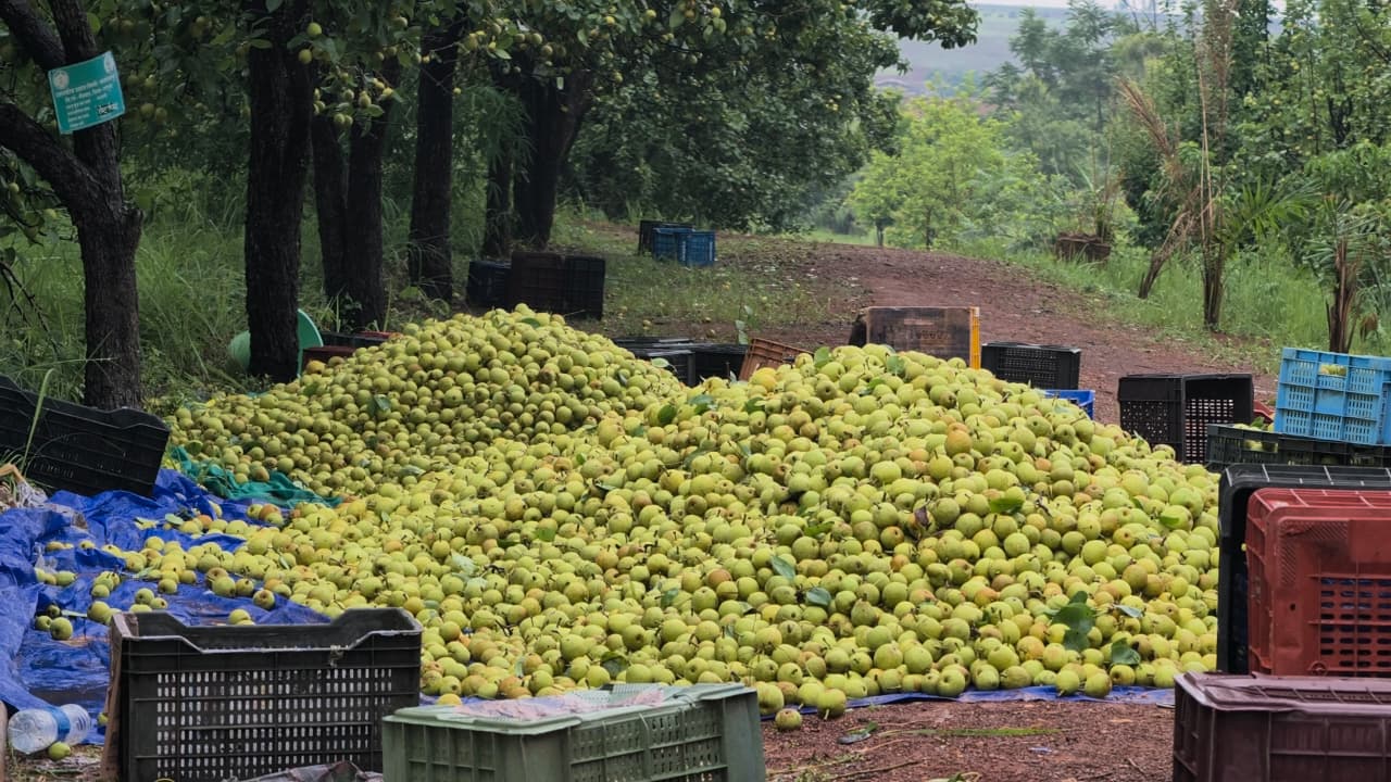 सरकारी योजना और किसान की सोच ने मिलकर रचा सफलता का नया मॉडल