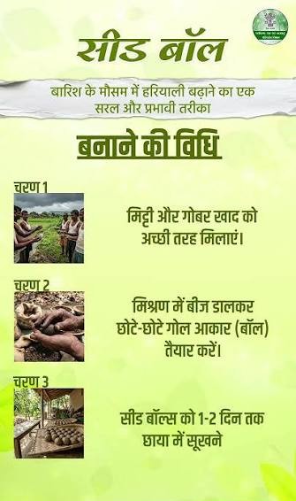 एक सीड बॉल, हरियाली की नई उम्मीद