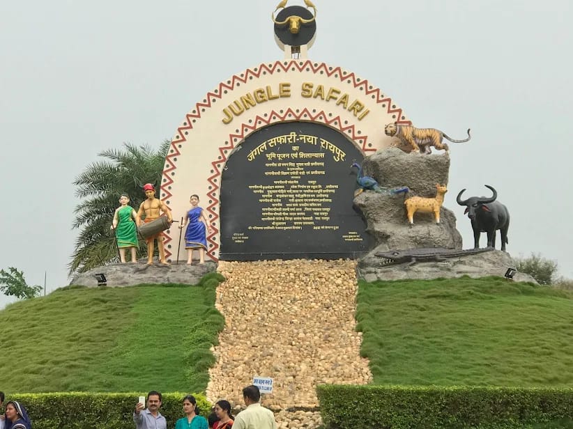 जंगल सफारी में वन्यजीवों के बीच यादगार सफर का अनोखा अनुभव