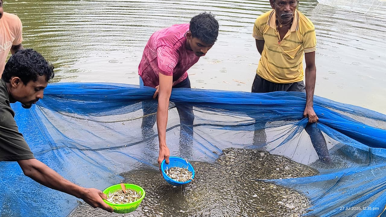 कम समय में ज्यादा मुनाफा: अंगुलिका उत्पादन से चमकी मनकी बघेल की किस्मत
