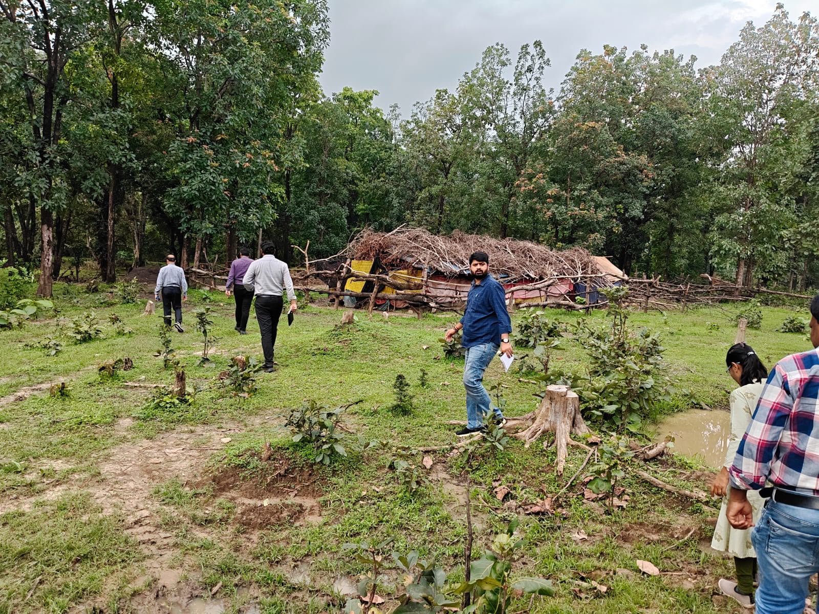 मलेरिया के खिलाफ जंगलों में उतरा स्वास्थ्य विभाग, संवेदनशील क्षेत्रों में बढ़ी निगरानी