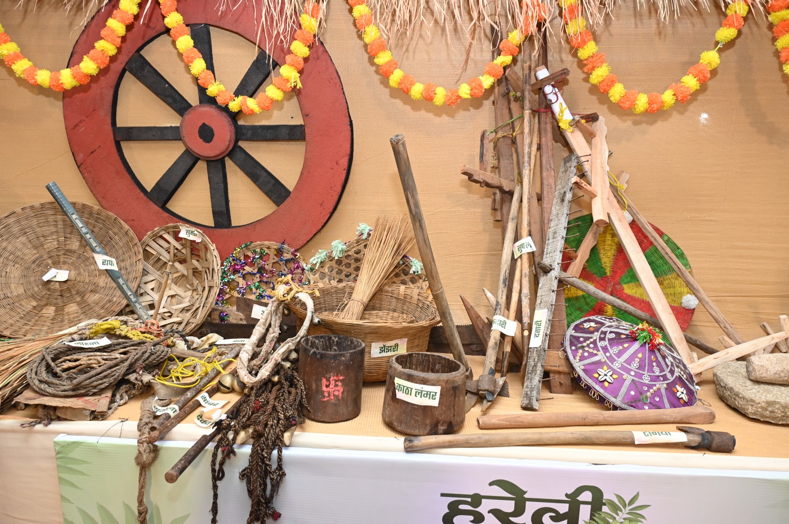हरेली तिहार: पशुधन के सम्मान और कृषि उपकरणों के पूजन का लोकपर्व