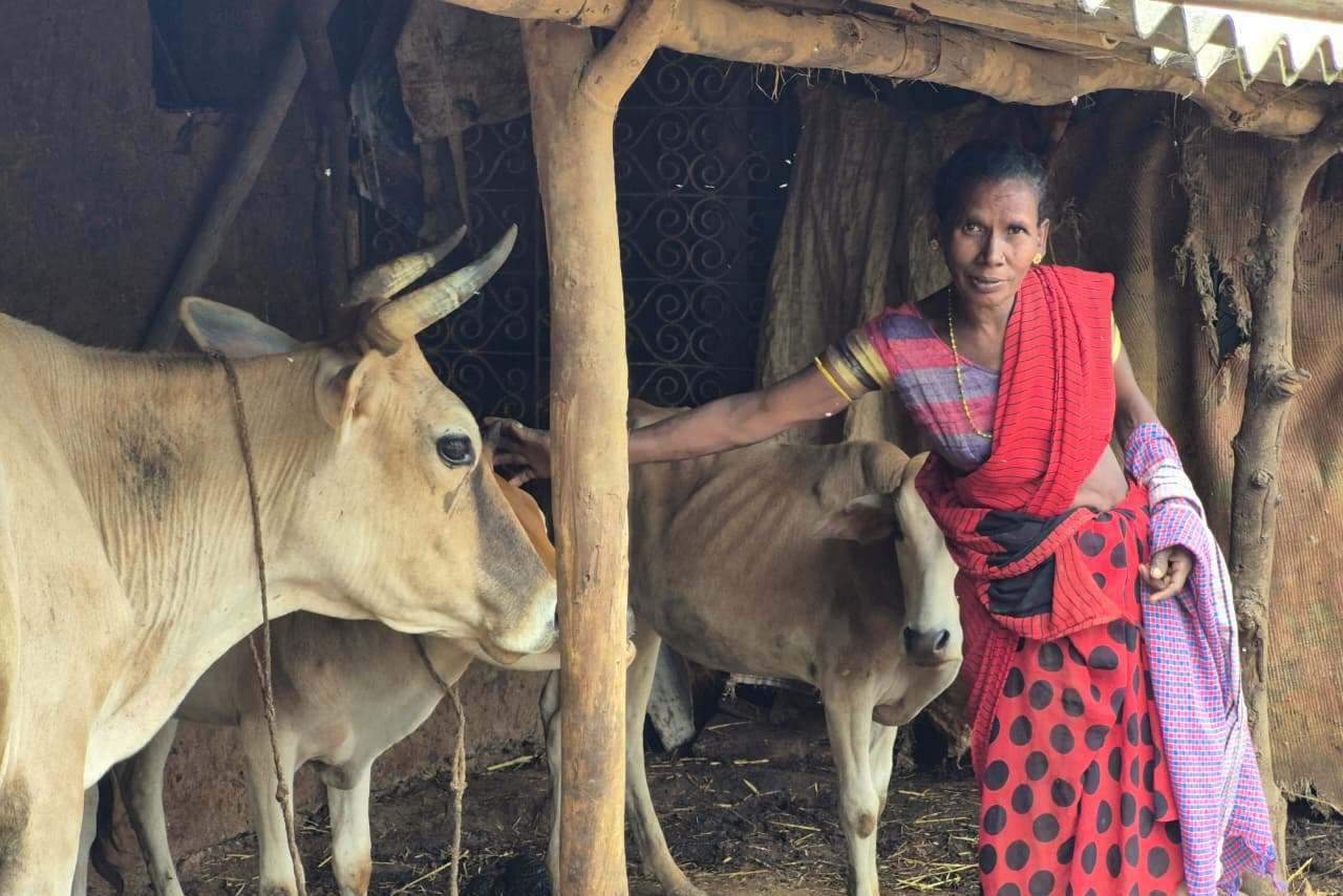 बकरीपालन से सब्जी उत्पादन तक, रैबाली की मेहनत ने बनाया परिवार का मजबूत सहारा