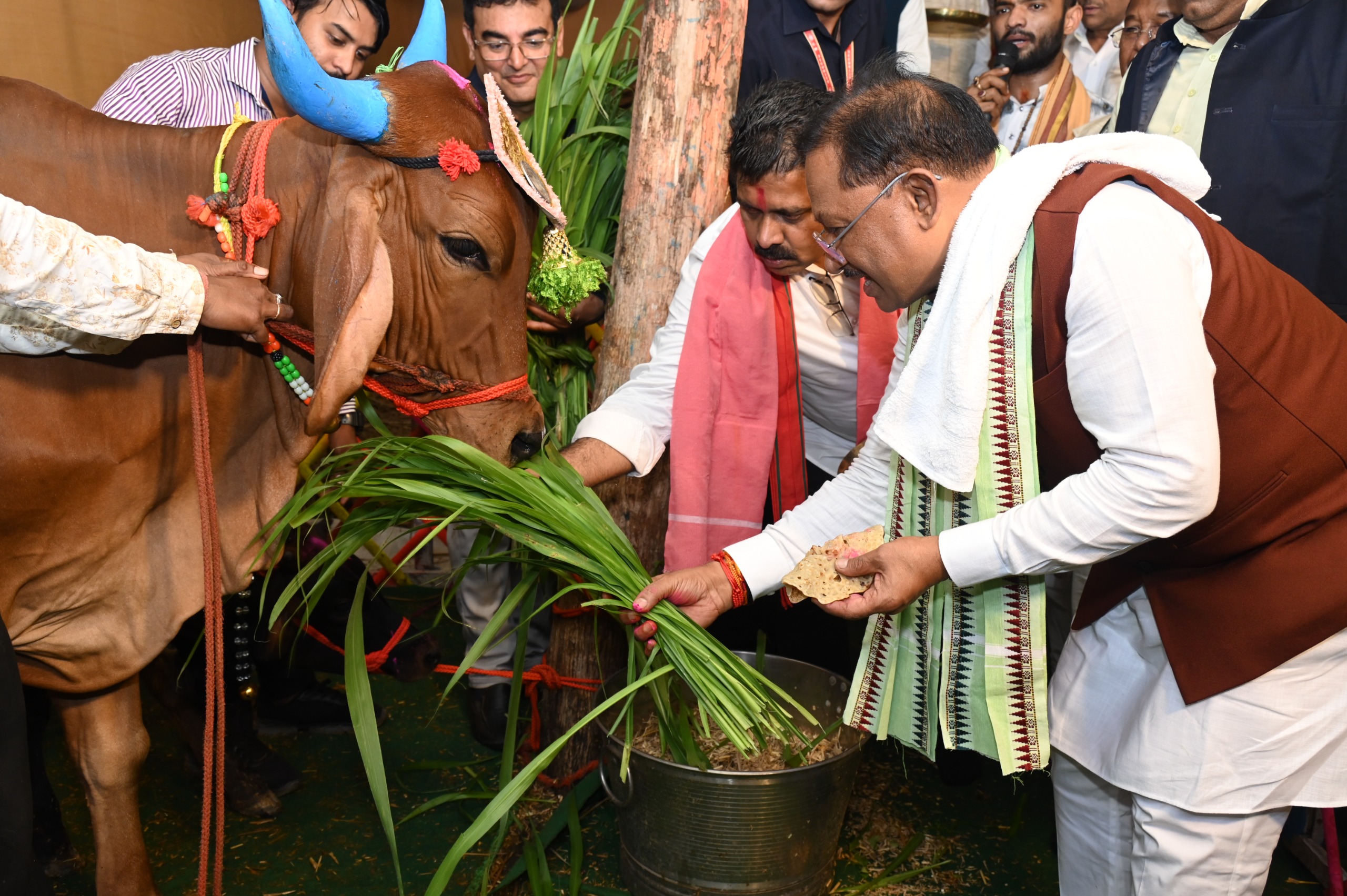धान खरीदी और बोनस से किसानों को राहत, खेती-किसानी को मिला नया भरोसा