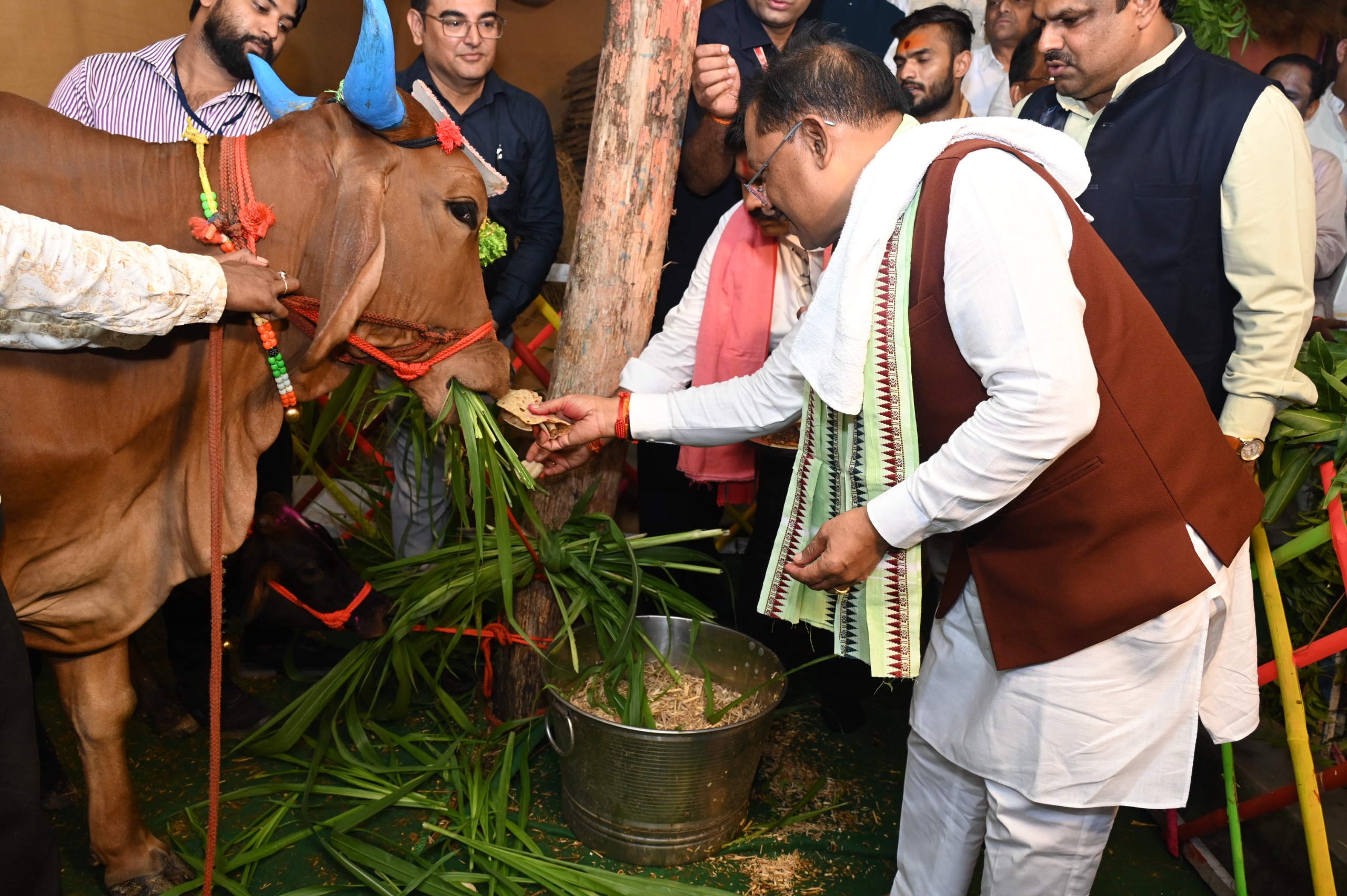 धान खरीदी और बोनस से किसानों को राहत, खेती-किसानी को मिला नया भरोसा