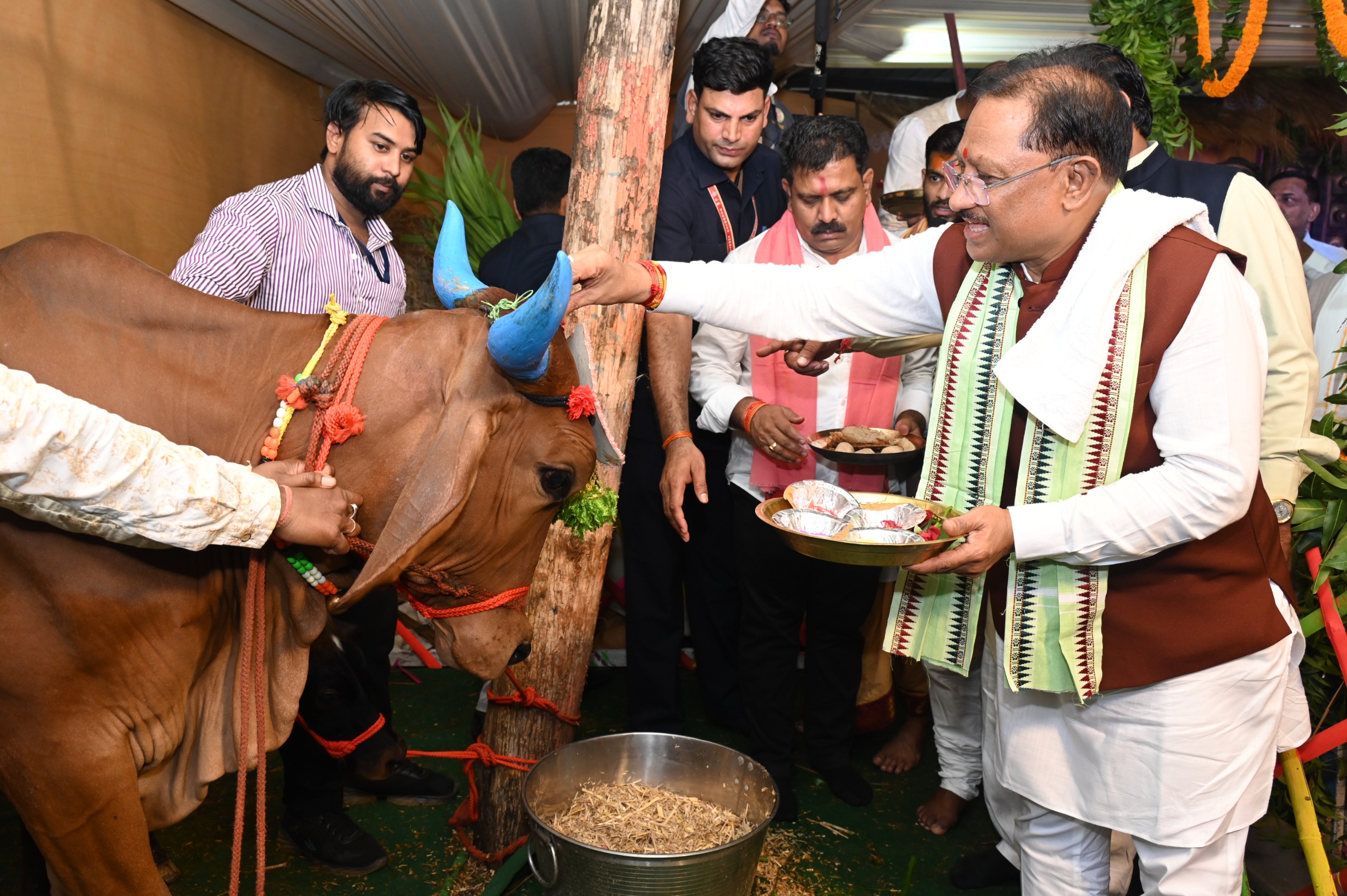 गांवों में गूंजता गेड़ी का उल्लास, हरेली से जीवंत होती छत्तीसगढ़ की लोकसंस्कृति