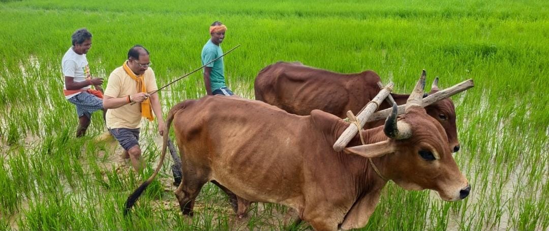 20 अगस्त की ग्राम सभाओं में वीबी-जीरामजी के कार्यों का होगा अनुमोदन