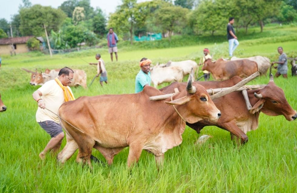 रोजगार के साथ गांवों में सुविधाओं का विस्तार, वीबी-जीरामजी से विकास को मिलेगी गति