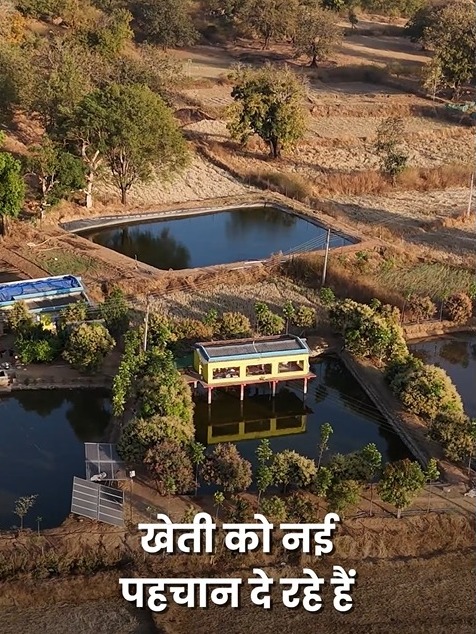 धान की पारंपरिक खेती से आगे बढ़े अंकित, अब खेत में मछली और मुर्गी पालन भी