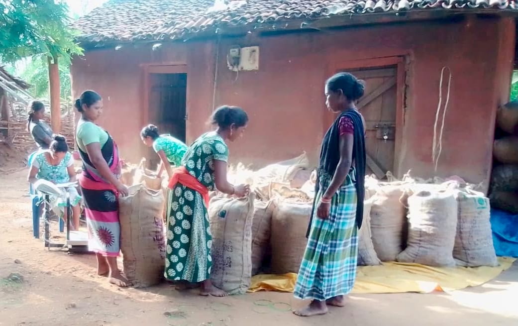 वन मंत्री केदार कश्यप के मार्गदर्शन में CGCERT की महत्वपूर्ण उपलब्धि