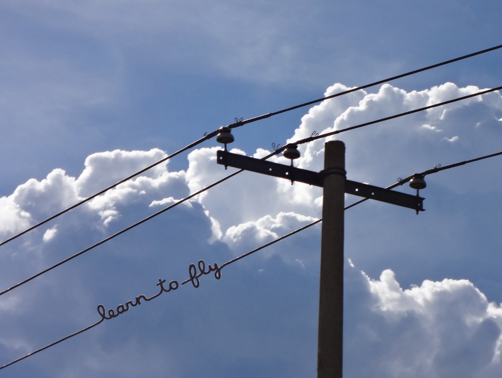 learn to fly