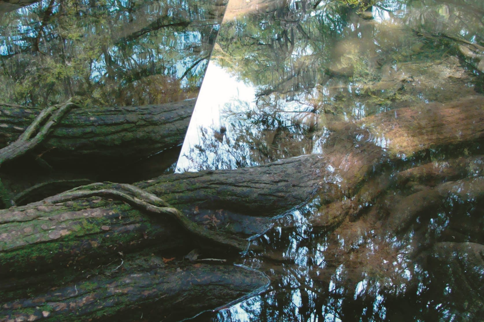 trompe l´oeil