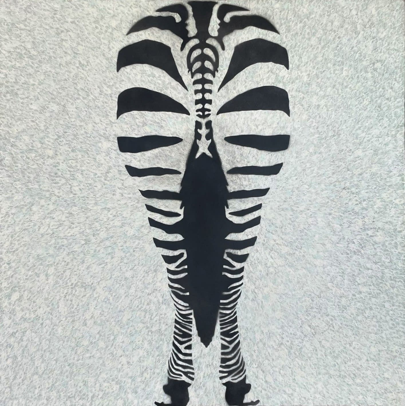 zigzag zebra
