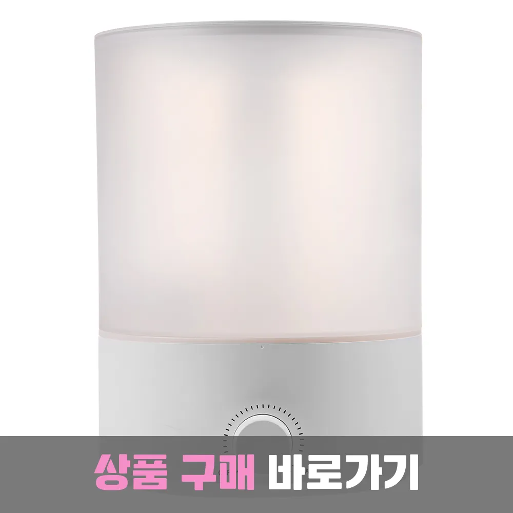 홈플래닛 초음파 가습기 4L, H1001D11