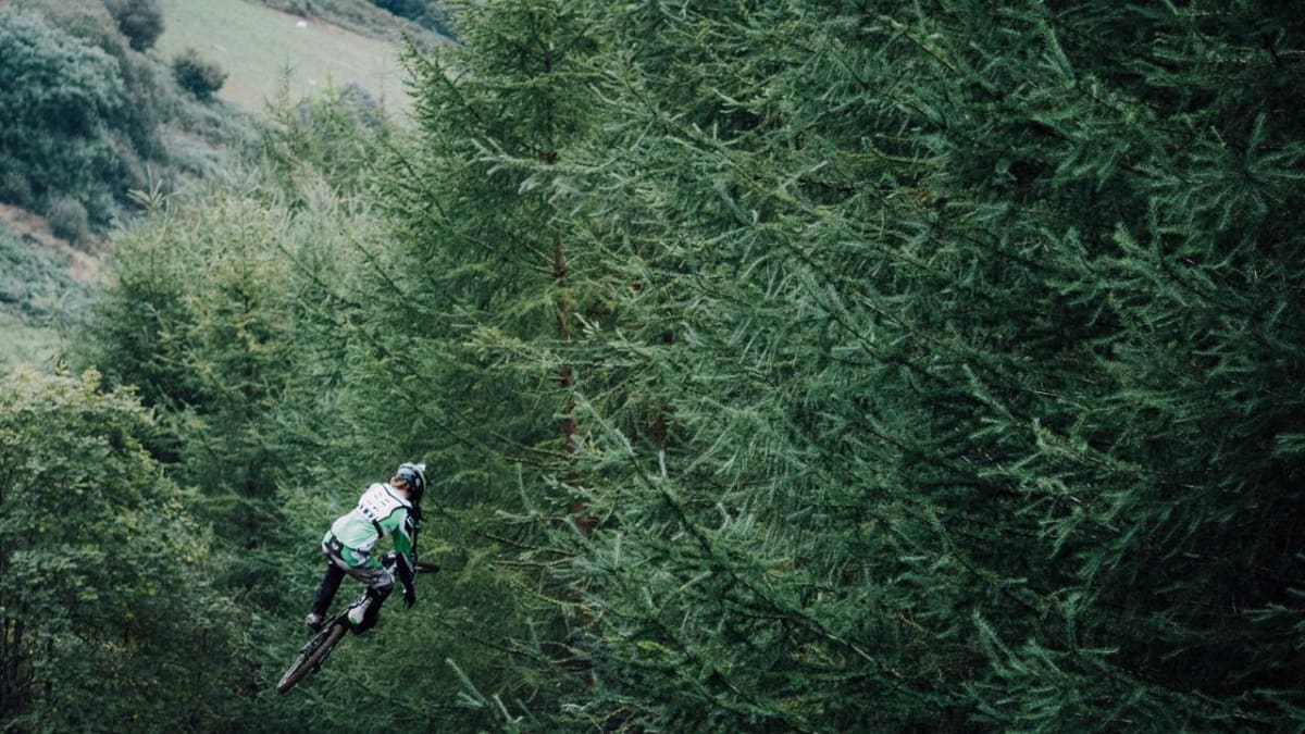 토스 엔화 관련 이미지