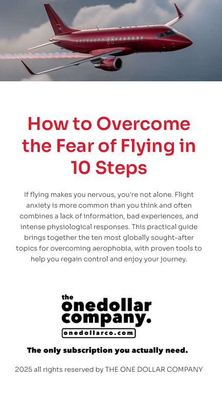 How to Overcome the Fear of Flying in 10 Steps